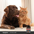 Hip & Joint for Dogs & Cats, 120 Chewable Tablets