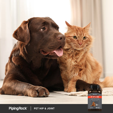 Hip & Joint for Dogs & Cats, 120 Chewable Tablets