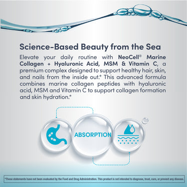 Marine Collagen Peptides + Hyaluronic Acid, MSM & C Powder, 7 oz (200 g) Powder