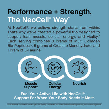 Product highlights graphic stating support for lean muscle, energy, vitality with 3g Collagen, 5g Creatine, 1g L-Taurine.