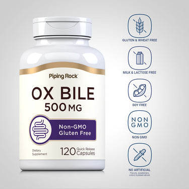 Ox Bile, 500 mg (per serving), 120 Quick Release Capsules