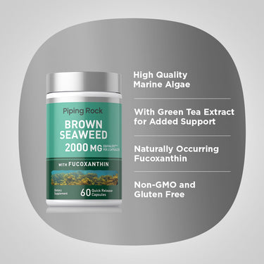 Product graphic stating High Quality Marine Algae, With Green Tea Extract for Added Support, Naturally Occurring Fucoxanthin, and Non-GMO and Gluten Free
