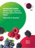 High Potency Vitamin D3 2,000 IU, 120 Vegetarian Gummies