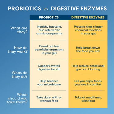 DigestMore Enzymes, 90 Vegan Capsules