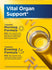 3 Day Liver Cleanse Vital Organ Support, 12 Vegetarian Capsules