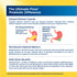 Product highlights graphic stating delayed release capsules resist stomach acid, formulated high in Bifidobacteria for balanced microbiome, and contains 31 beneficial strains.