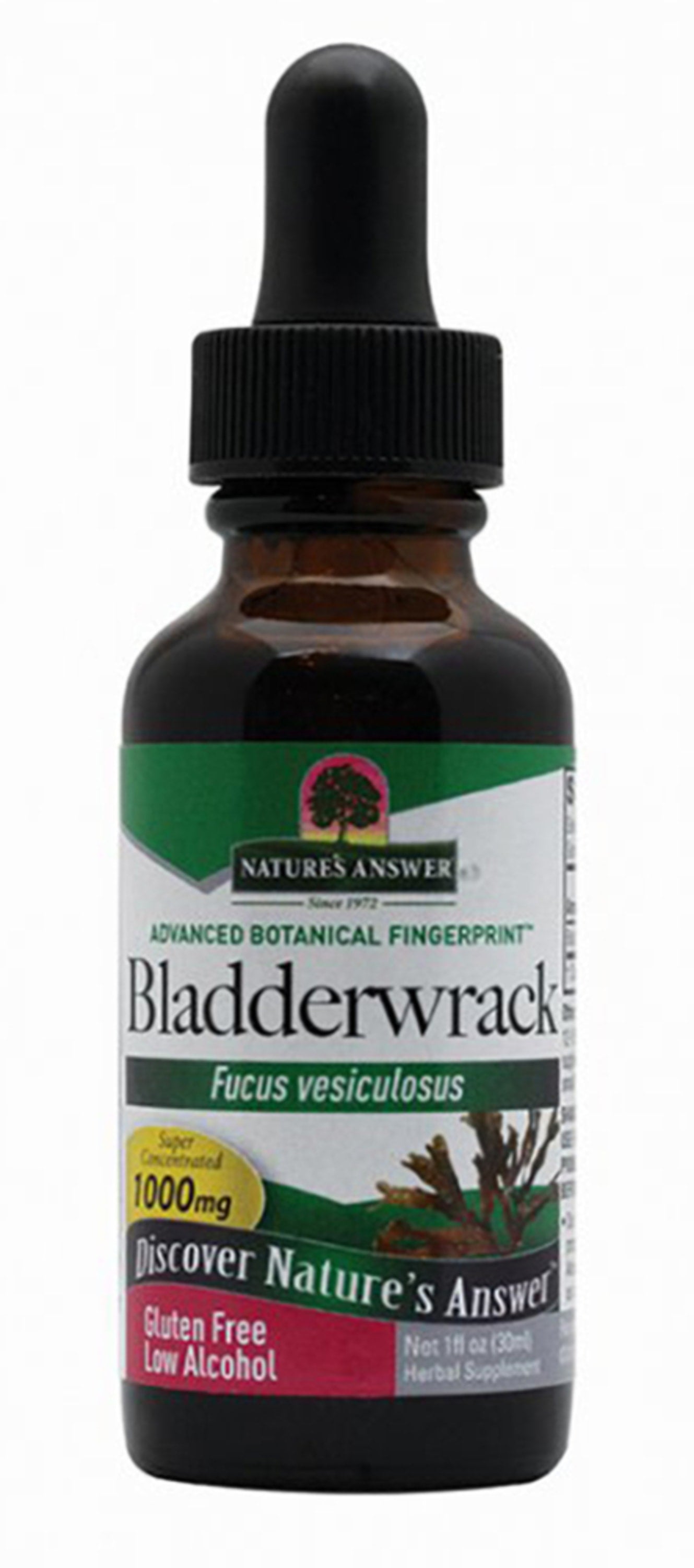 Bladderwrack Thallus Liquid Extract, 1 fl oz (30 mL) Dropper Bottle