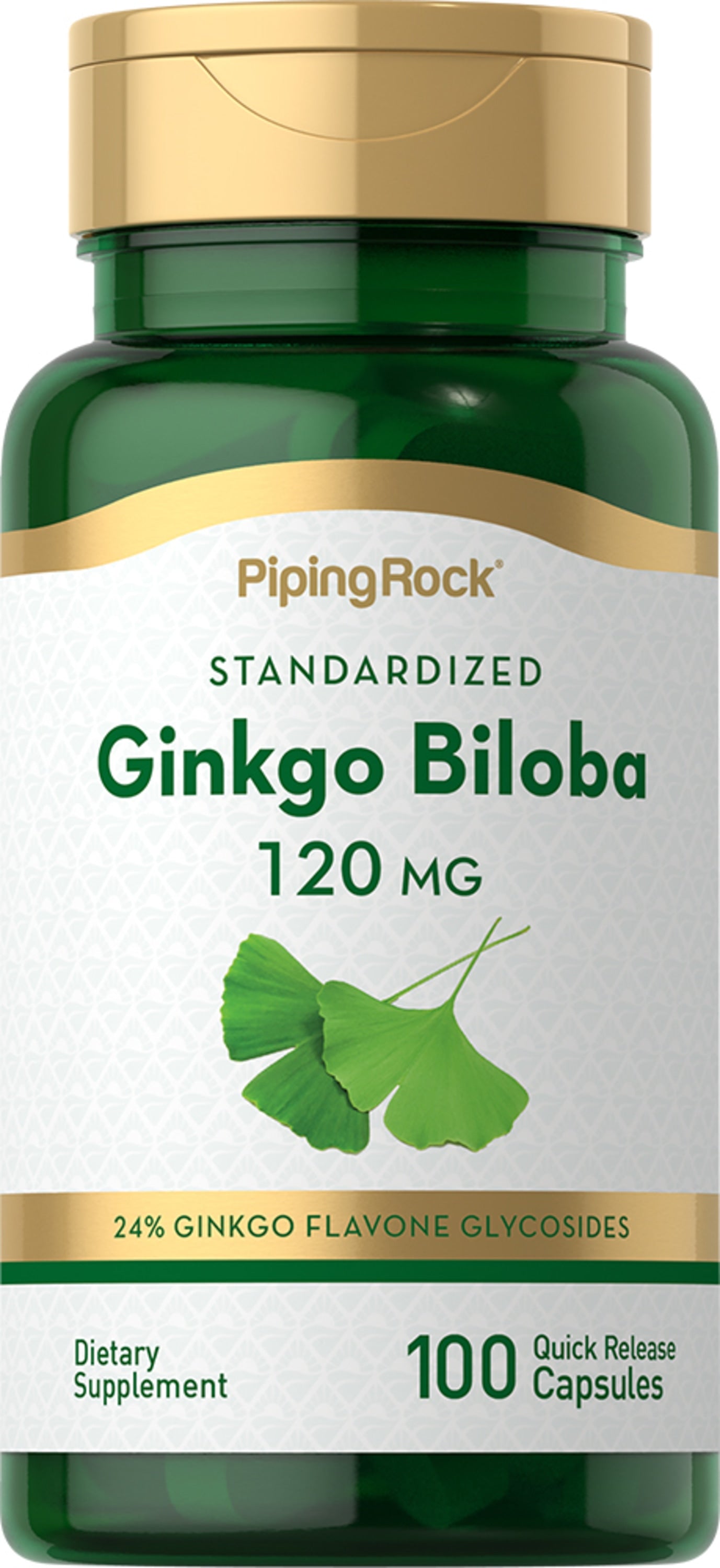 Ginkgo Biloba Standardized Extract, 120 mg, 100 Quick Release Capsules
