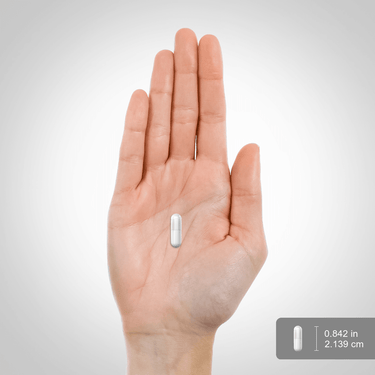 White capsule in a hand, measuring 0.842 inches (2.139 cm) for size reference.