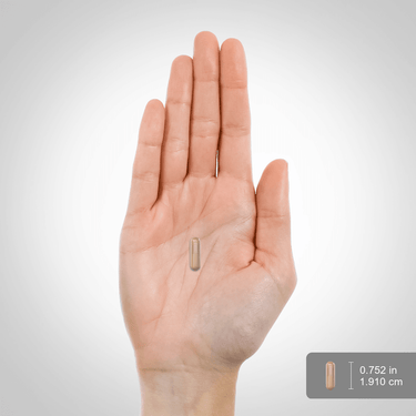 A capsule rests on a hand, with an inset showing its size as 0.752 inches or 1.910 centimeters.