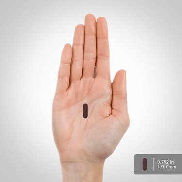 A hand holding a dark brown capsule, measuring 0.752 inches (1.910 cm).
