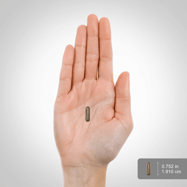 Hand holding a capsule measuring 0.752 inches in diameter and 1.910 cm long, placed next to a bulk scale for reference.