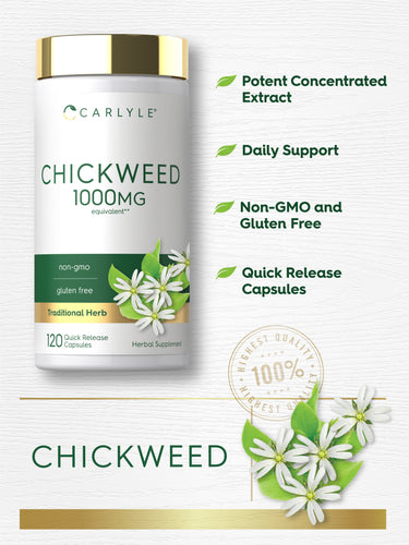 Product highlights graphic stating Potent Concentrated Extract, Daily Support, Non-GMO, Gluten Free, Quick Release Capsules.