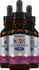 Kids Melatonin (3 Pack) (Delicious Berry), 1 mg, 1 fl oz (30 mL) Dropper Bottle