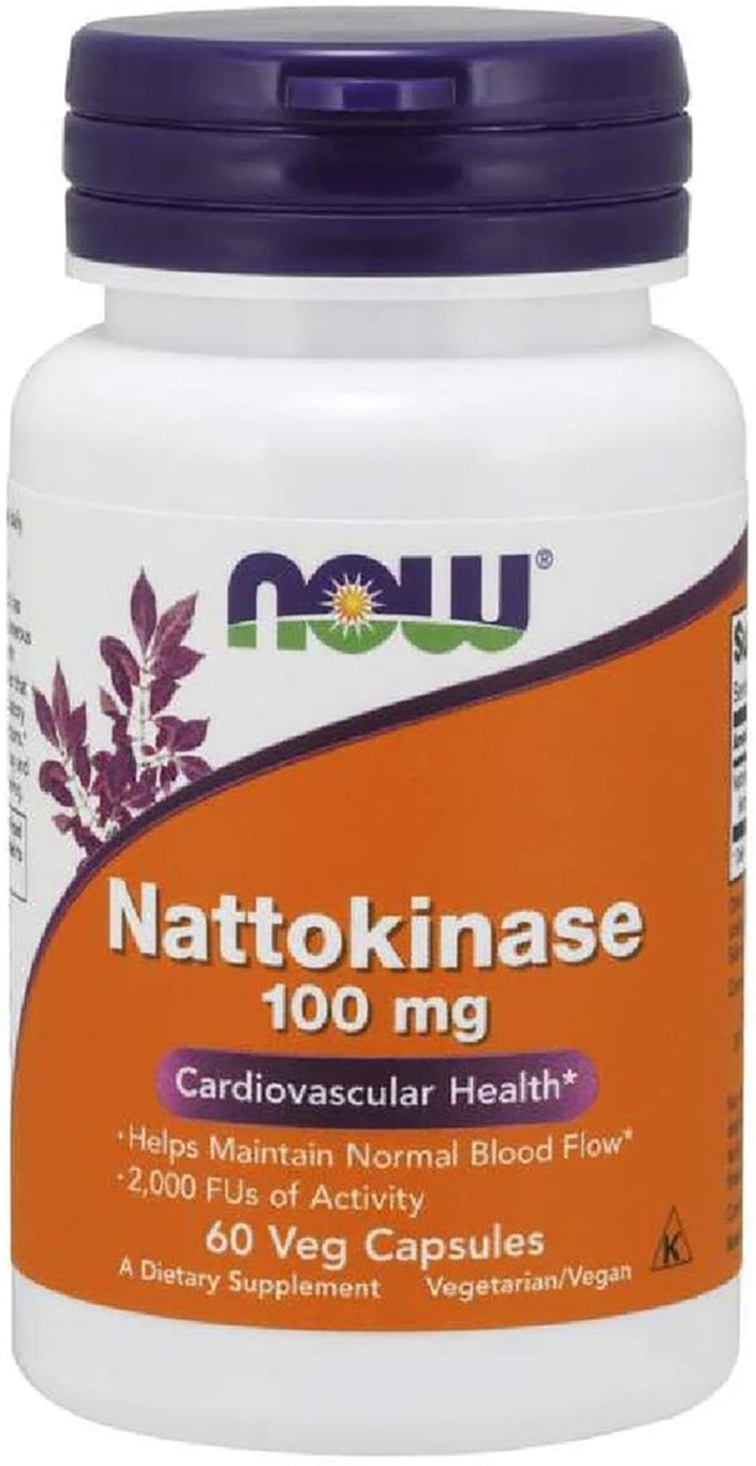 Nattokinase, 100 mg, 60 Vegetarian Capsules