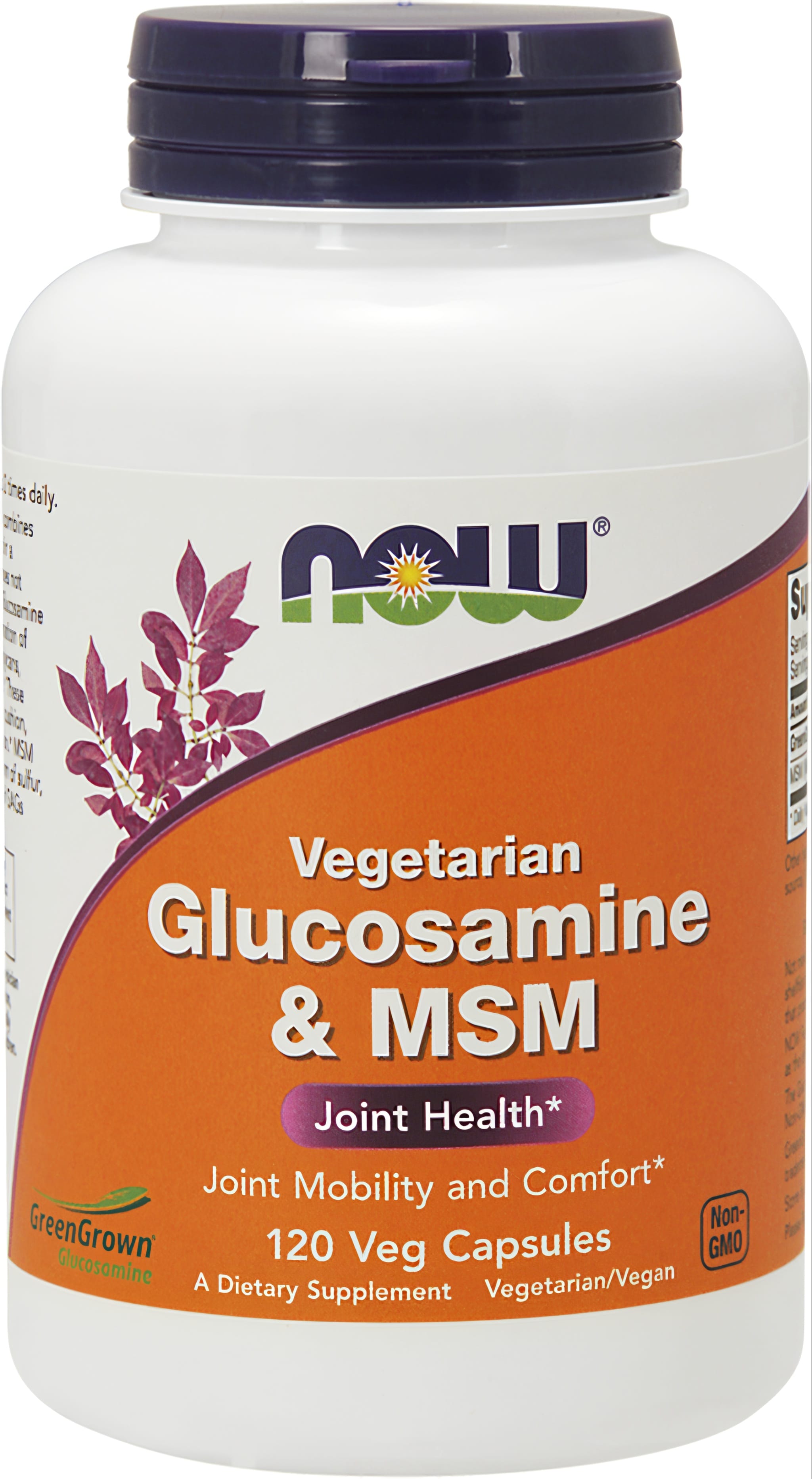 Bottle of Vegetarian Glucosamine & MSM, containing 120 vegetable capsules.